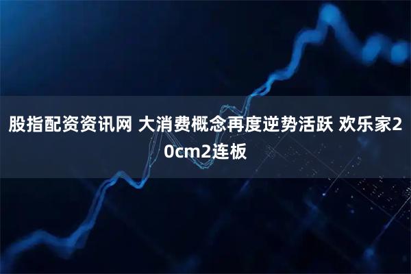 股指配资资讯网 大消费概念再度逆势活跃 欢乐家20cm2连板